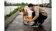 Пакеты для собачьих экскрементов и диспансеры появились в Кировске | Dog-пакет